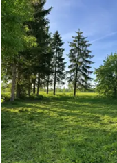 Grundstück zu verkaufen in Düren 243.000 € 959 m²