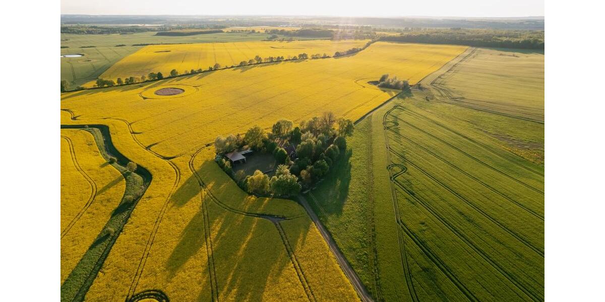 Ländliches Holzhaus Grundstücksfläche 7.000 m² 2 zimmer