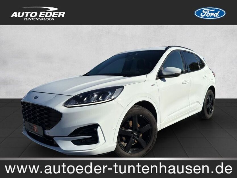 Kuga