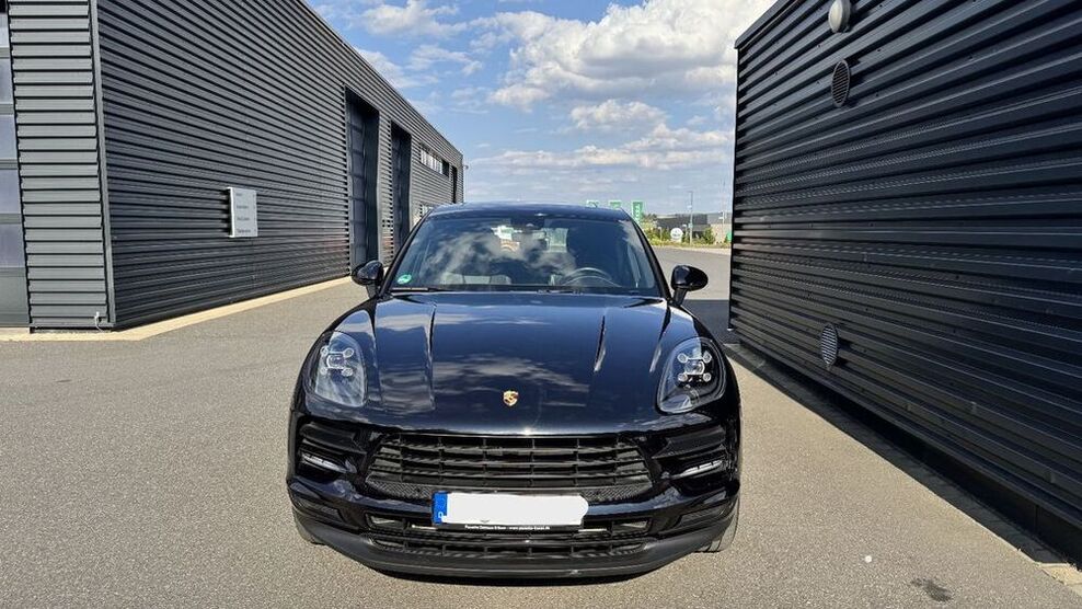 Macan