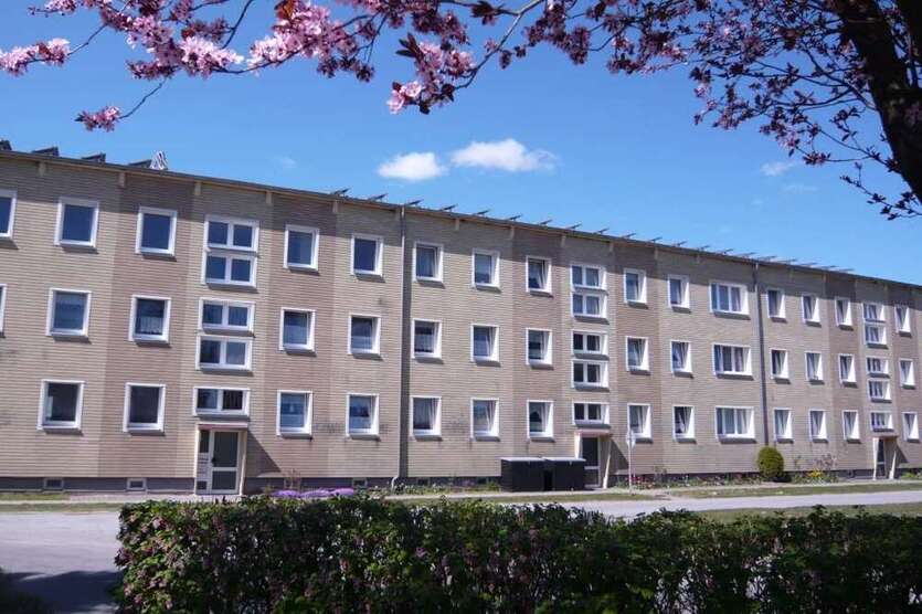 Wohnung zum Mieten in Franzburg 400 € 60.82 m²