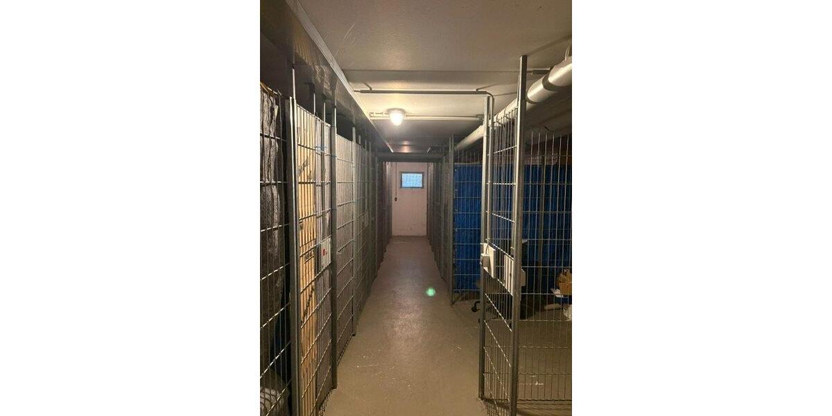 Etagenwohnung Erfurt Andreasvorstadt - 3 Zimmer, 84 m&sup2;, 250.000&euro; | Angebot:27449883