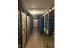 Etagenwohnung Erfurt Andreasvorstadt - 3 Zimmer, 84 m&sup2;, 250.000&euro; | Angebot:27449883
