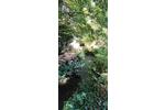 Mehrfamilienhaus, Wohnhaus Wald-Michelbach Michelbach - 405.000&euro; | Angebot:26270556