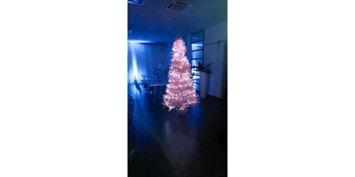 Hochzeit Saal, Veranstaltung Halle zu vermieten gegen Abstand zimmer