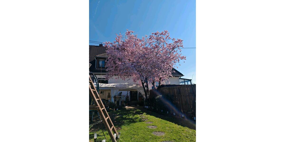 Reihenhaus Bendorf - 3 Zimmer, 100 m&sup2;, 285.000&euro; | Angebot:26762884