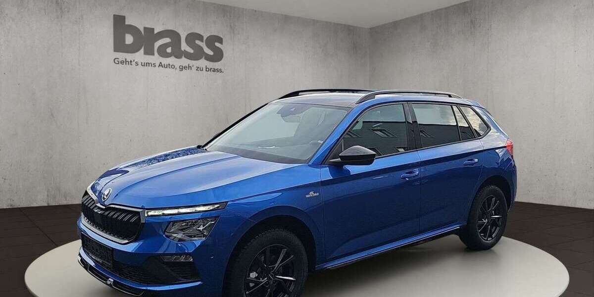 Skoda Kamiq 3.000 km 35.800 &euro; Giessen 35392