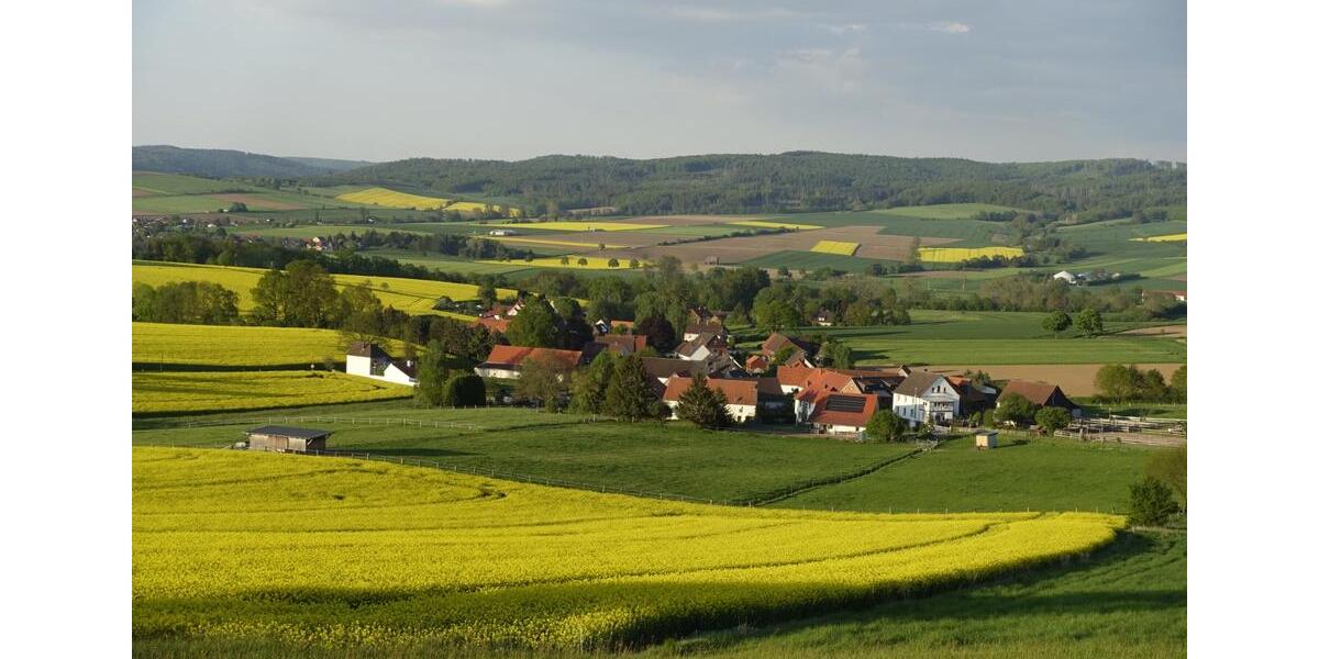 Einfamilienhaus Uslar - 9 Zimmer, 170 m&sup2;, 190.000&euro; | Angebot:25180053