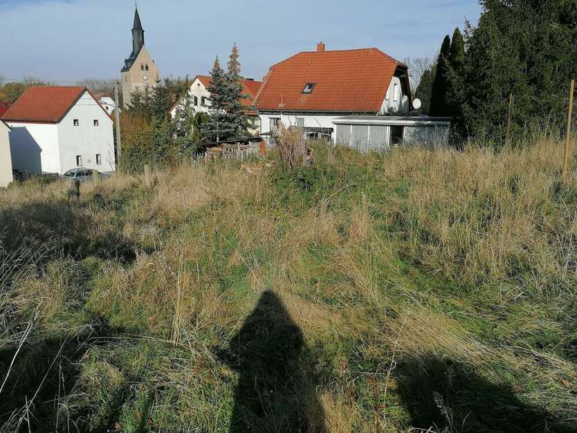 Grundstück zu verkaufen in Döbeln 39.000 € 787 m²