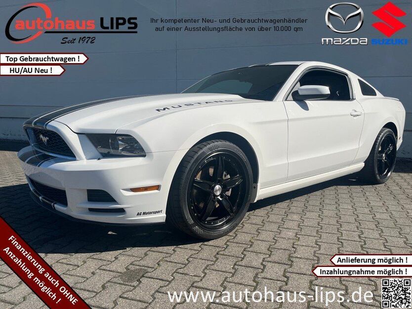 Mustang