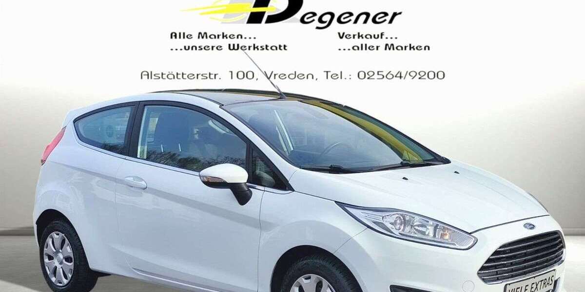 Ford Fiesta 117.042 km 8.831 &euro; Vreden 48691
