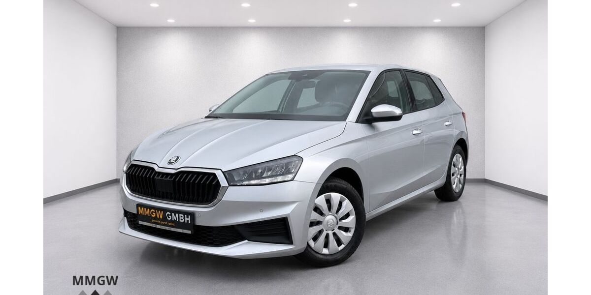 Skoda Fabia 34.644 km 15.990 &euro; Bensheim 64625