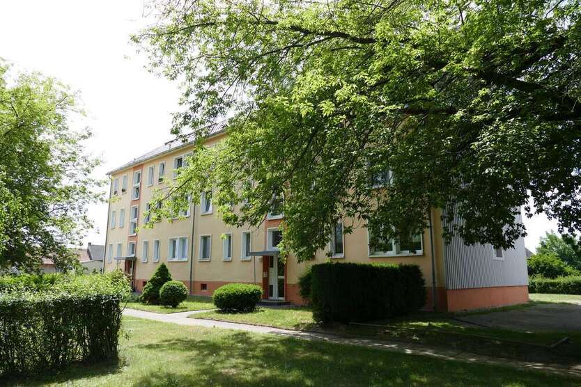 Wohnung zum Mieten in Groß Döbbern 288 € 48 m²