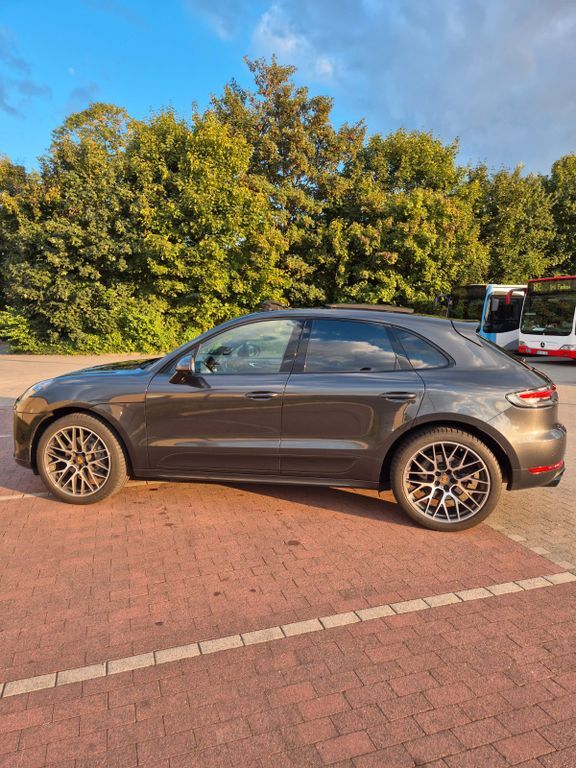 Macan