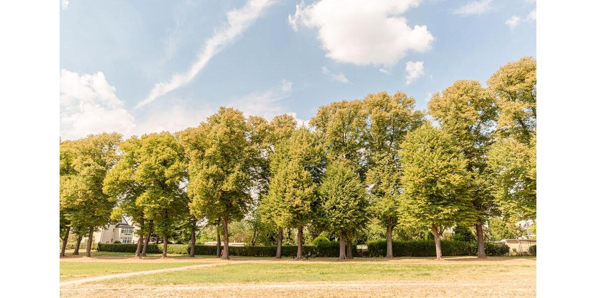 Erdgeschoßwohnung Düsseldorf Stadtbezirk 9 - 1 Zimmer, 32 m&sup2;, 220.000&euro; | Angebot:8933805