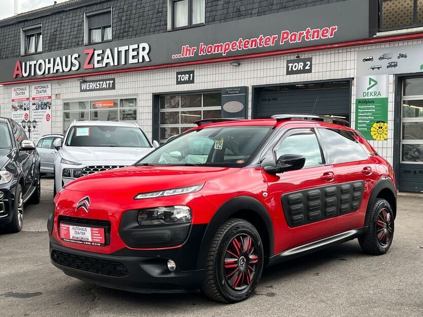 C4 Cactus