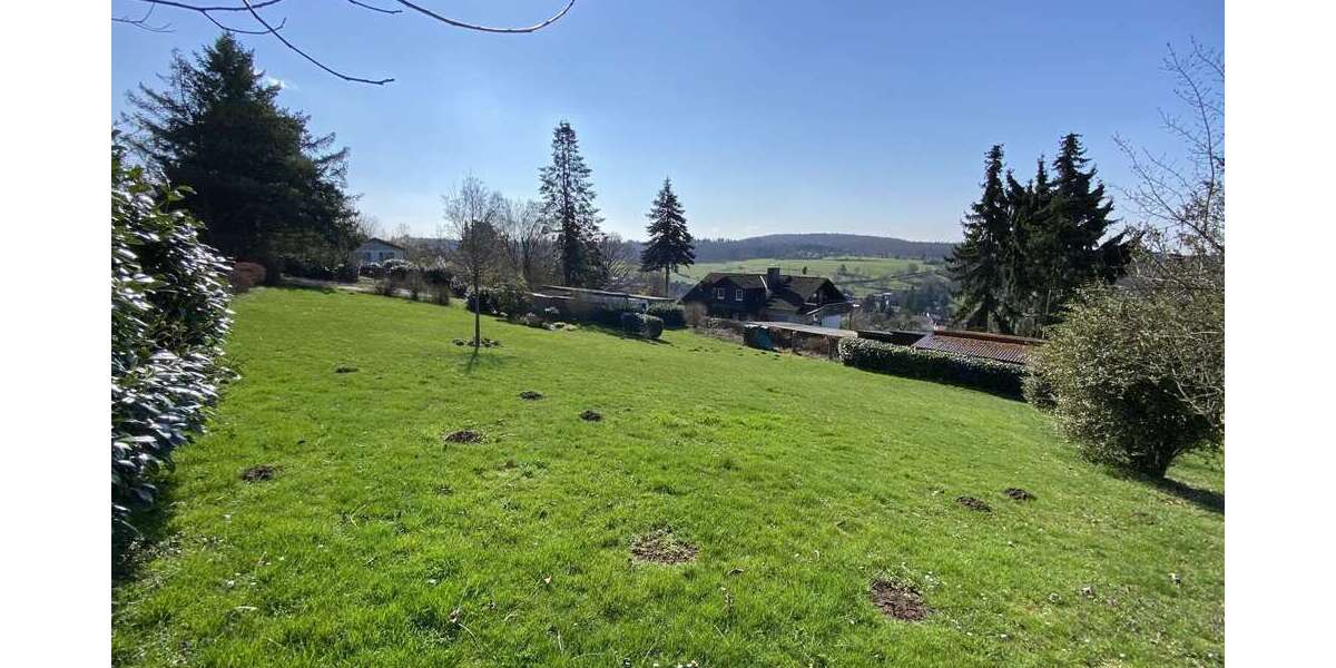 Grundstück Schotten / Einartshausen Einartshausen - 65.000&euro; | Angebot:26198429
