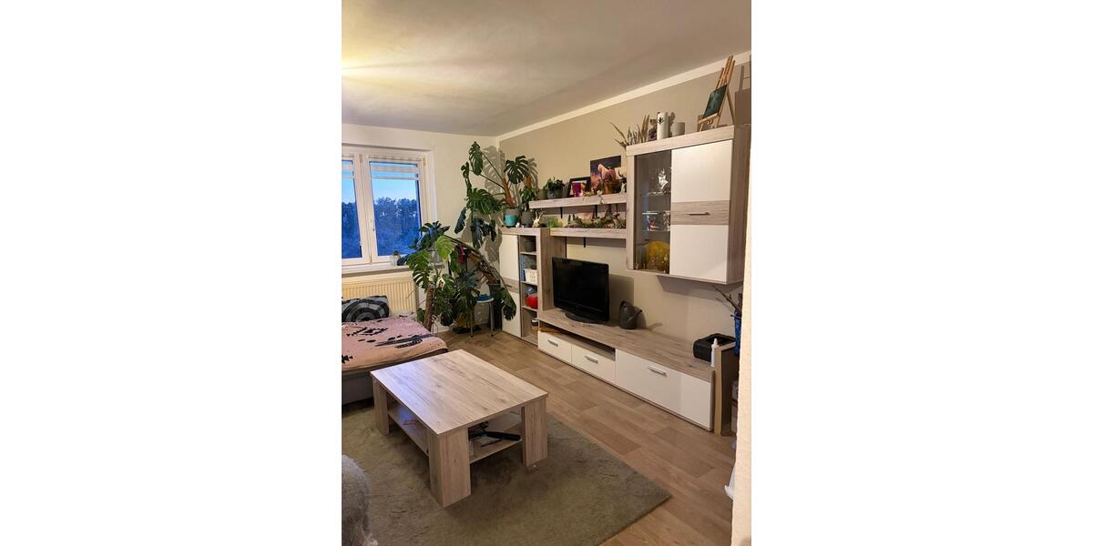 Etagenwohnung Friedeburg - 3 Zimmer, 59 m&sup2;, 500&euro; | Angebot:25271032