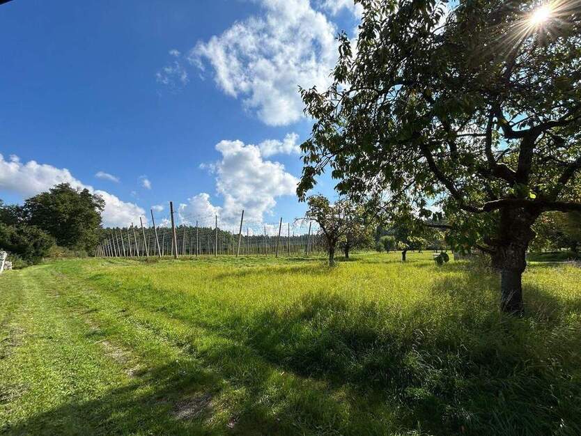 Baulücke in exklusiver Ortsrandlage von Eckenhaid...Erfüllen Sie sich Ihren Wohntraum zimmer