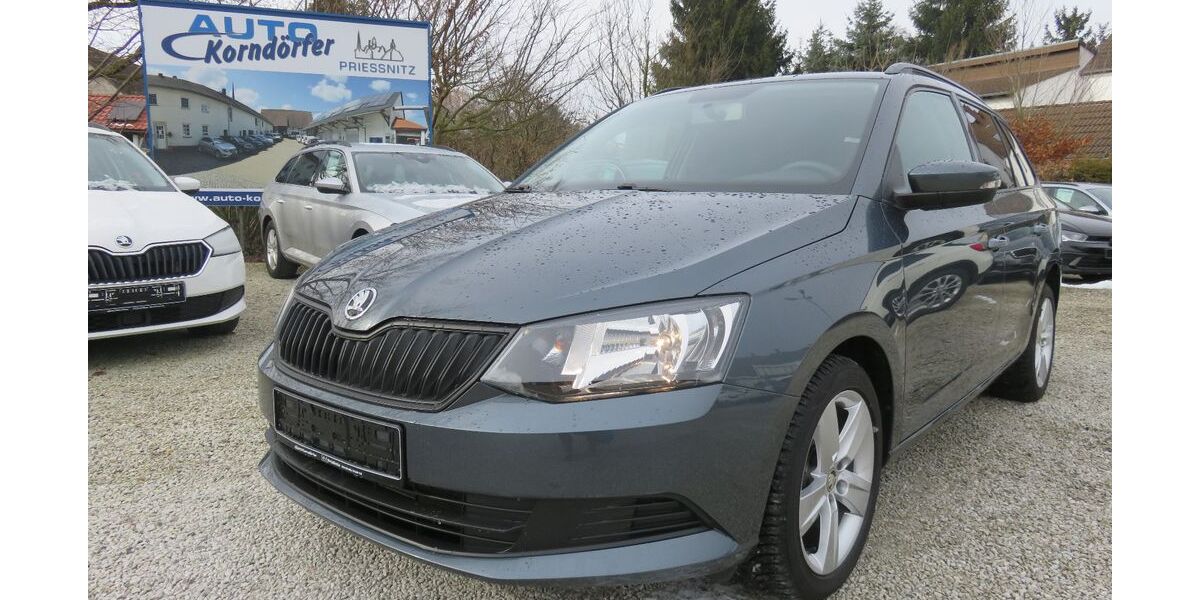Skoda Fabia 87.600 km 8.850 &euro; Prießnitz 04654