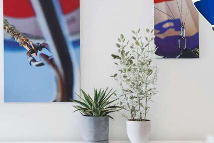 Wohnung Hohenwarsleben Hohenwarsleben - 1 Zimmer, 30 m&sup2;, 43.500&euro; | Angebot:25051623