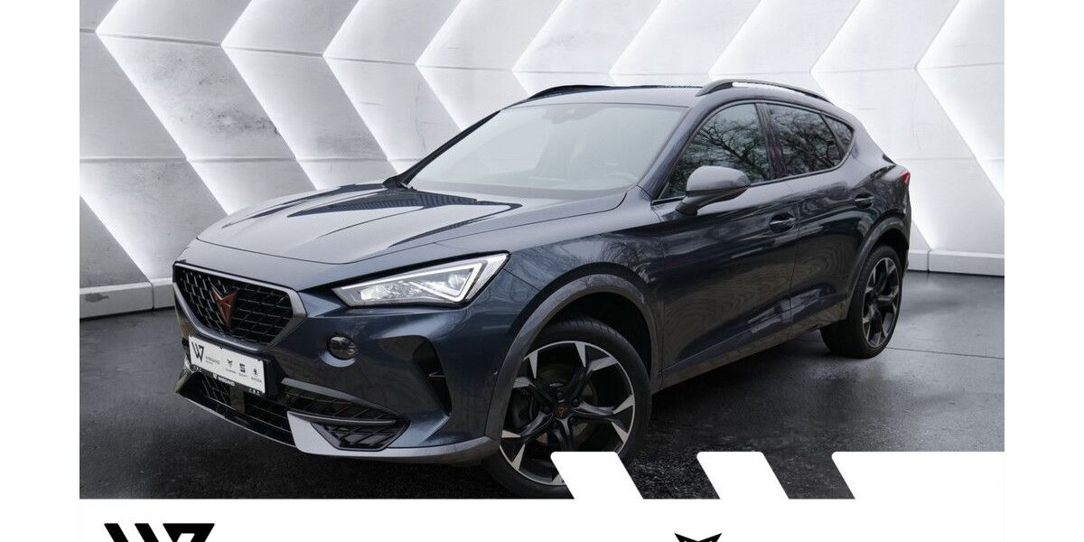 Cupra Formentor 56.271 km 21.694 &euro; Gelnhausen 63571