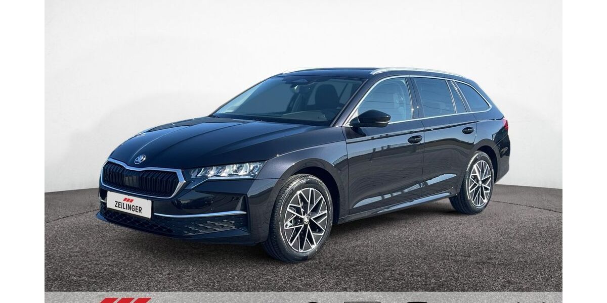 Skoda Octavia 1.040 km 33.745 &euro; Dietersheim 91463