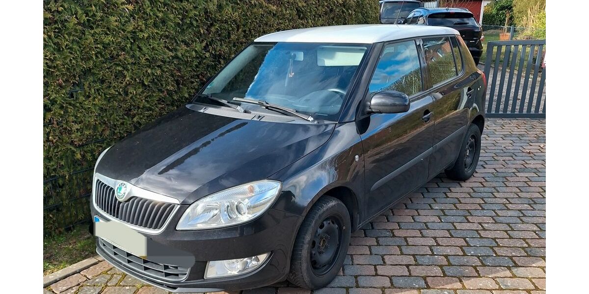 Skoda Fabia 179.800 km 2.800 &euro; Brackel 21438
