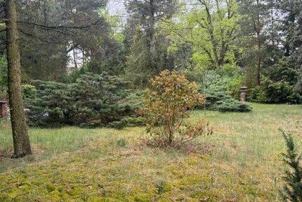 Grundstück Forst (Lausitz) Forst-Stadt - 37.000&euro; | Angebot:26804336