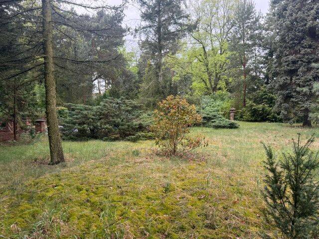 Grundstück Forst (Lausitz) Forst-Stadt - 37.000&euro; | Angebot:26804336