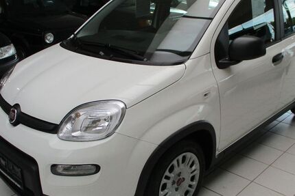 Fiat Panda 5.000 km 13.950 € Lingen - Baccum 49811