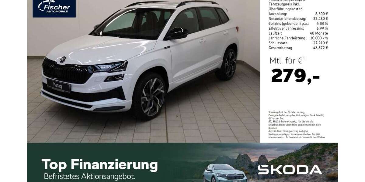 Skoda Karoq 11.014 km 41.980 &euro; Amberg 92224