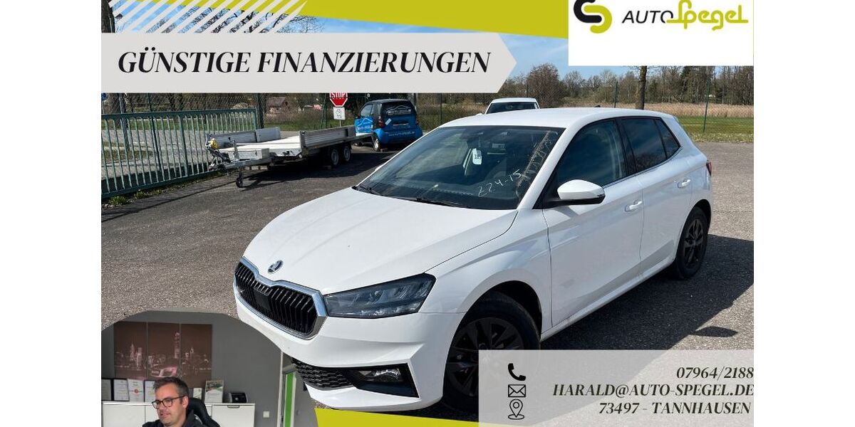 Skoda Fabia 17.999 km 16.390 &euro; Tannhausen 73497
