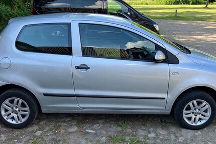 VW Fox