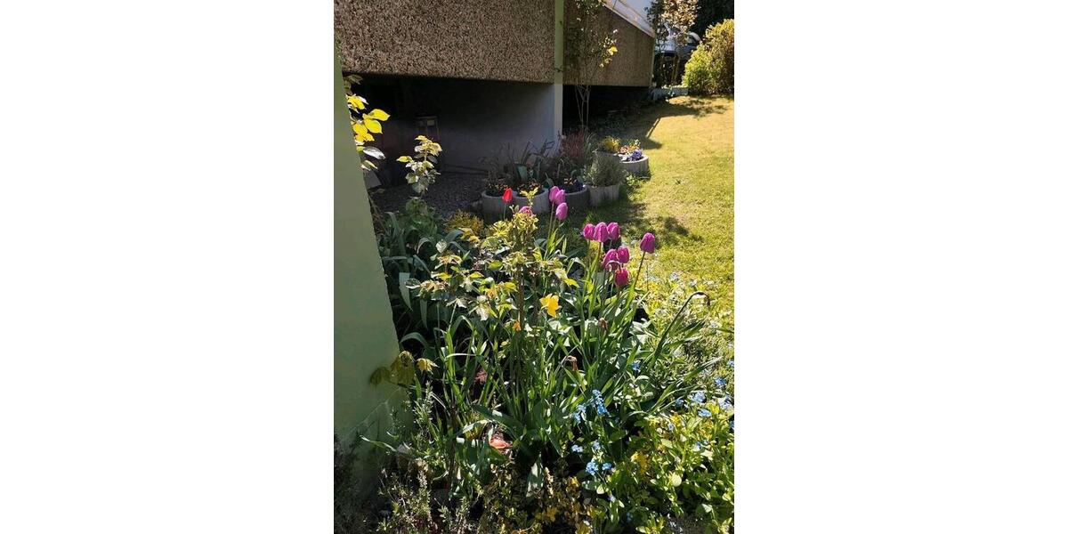 Hochparterre Bad Harzburg - 1 Zimmer, 42 m&sup2;, 55.000&euro; | Angebot:26949293