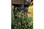 Hochparterre Bad Harzburg - 1 Zimmer, 42 m&sup2;, 55.000&euro; | Angebot:26949293