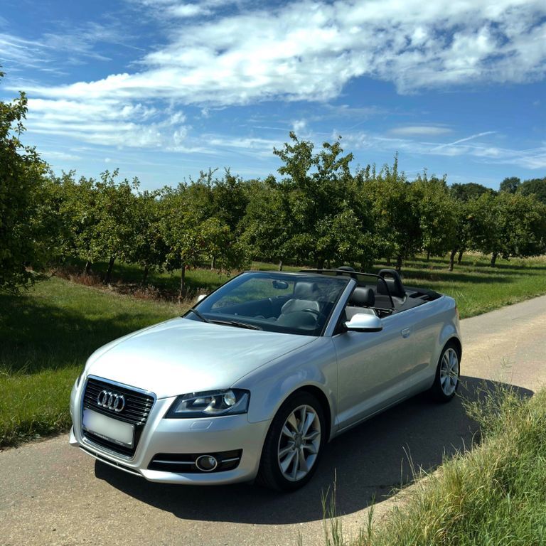 A3