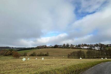 Ländliches Haus mit zwei Scheunen Wald, Wiese und Grünflächen in Halver zu verkaufen. 6 zimmer