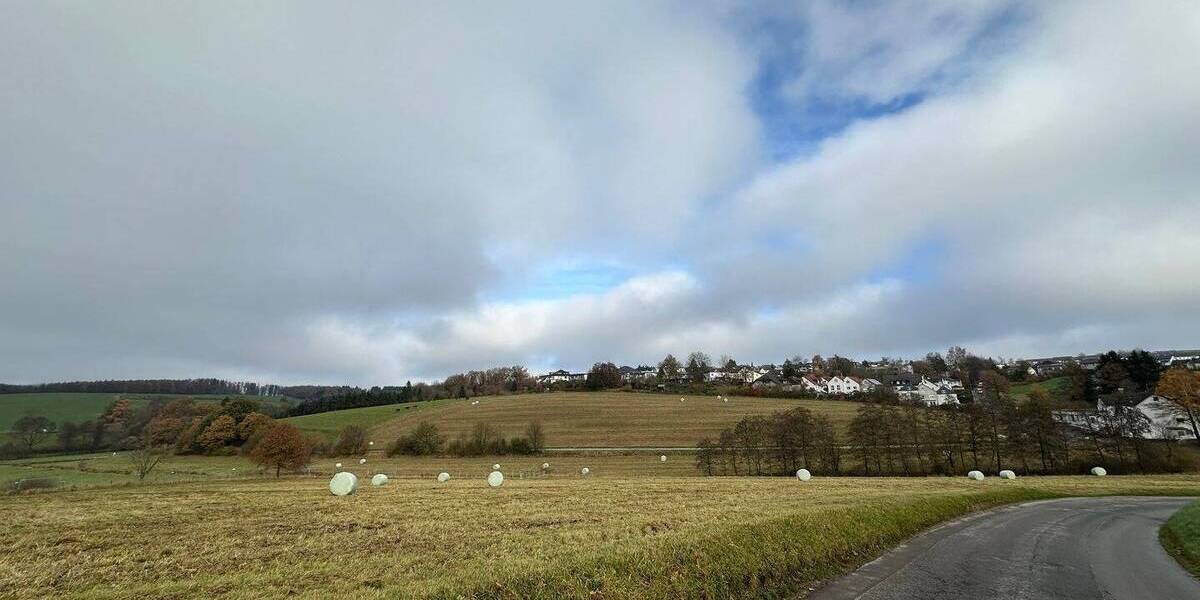 Ländliches Haus mit zwei Scheunen Wald, Wiese und Grünflächen in Halver zu verkaufen. 6 zimmer