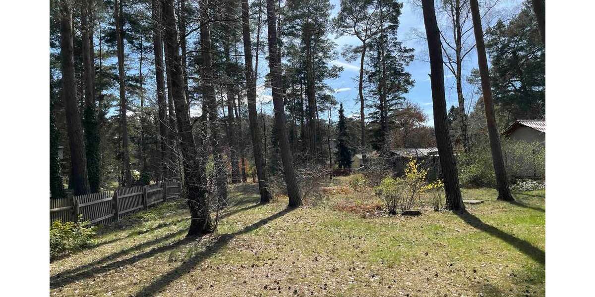 Grundstück Borkheide - 240.000&euro; | Angebot:23707863