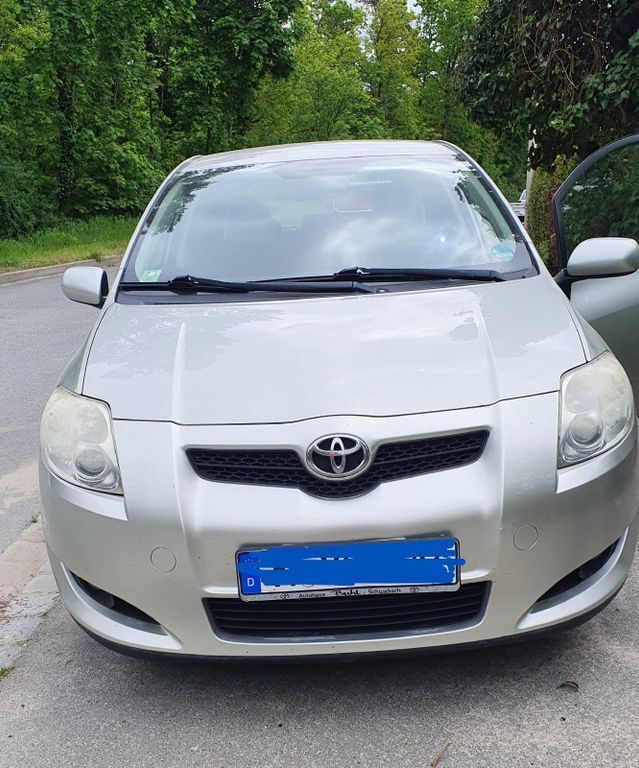 Auris