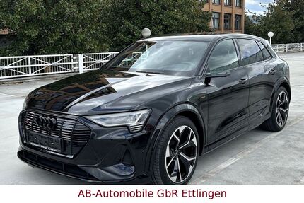 Audi e-tron 43.625 km 43.900 &euro; Ettlingen 76275
