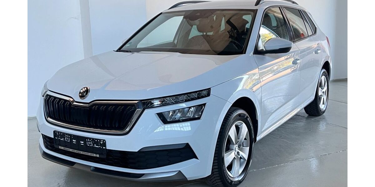 Skoda Kamiq 83.920 km 17.999 &euro; Potsdam-Drewitz b.Berlin 14478