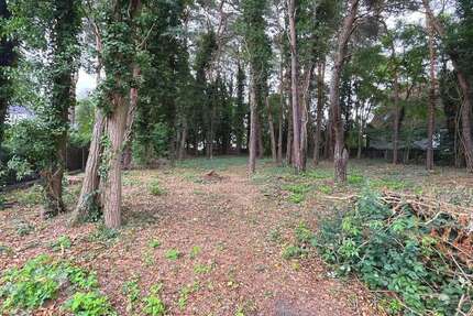 Grundstück Königs Wusterhausen - Zernsdorf Zernsdorf - 221.900&euro; | Angebot:25995312