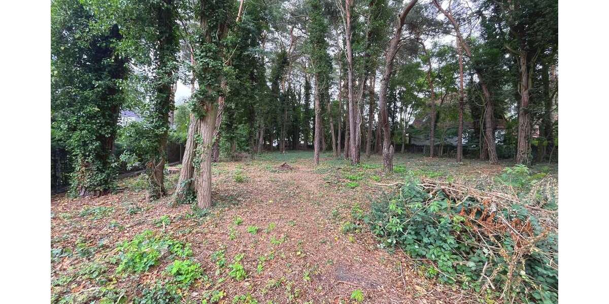 Grundstück Königs Wusterhausen - Zernsdorf Zernsdorf - 221.900&euro; | Angebot:25995312