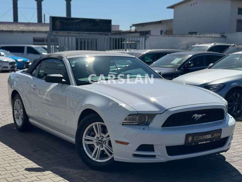 Mustang