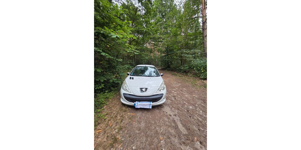 Peugeot 206 124.000 km 4.990 &euro; Ponitz 04639