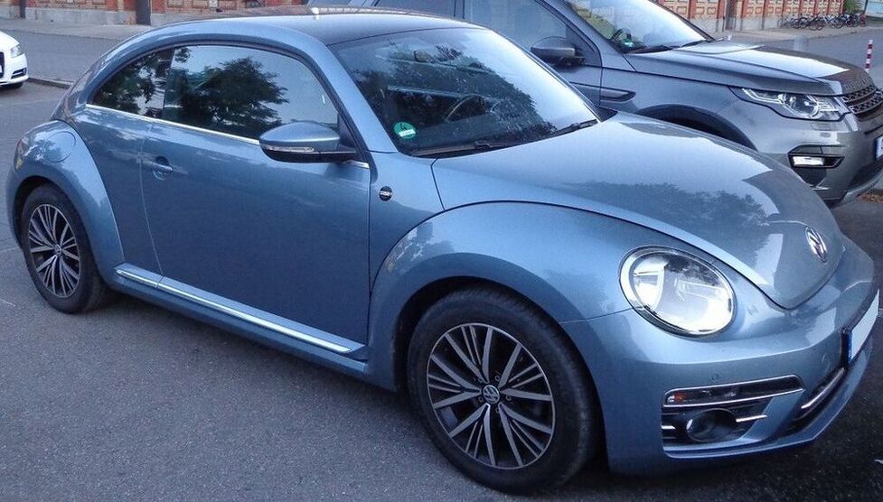 Beetle