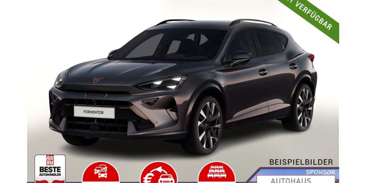Cupra Formentor 8.372 km 34.978 &euro; Kehl 77694
