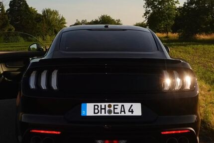 Ford Mustang 55.700 km 41.700 &euro; Gernsbach 76593